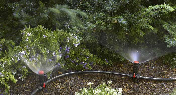 Hệ Thống Tưới Cho Vườn Lan - Cách Thiết Kế và Lắp Đặt