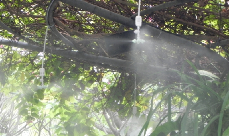 Hệ Thống Tưới Cho Vườn Lan - Cách Thiết Kế và Lắp Đặt