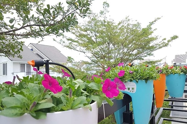 Hệ Thống Tưới Cho Vườn Lan - Cách Thiết Kế và Lắp Đặt