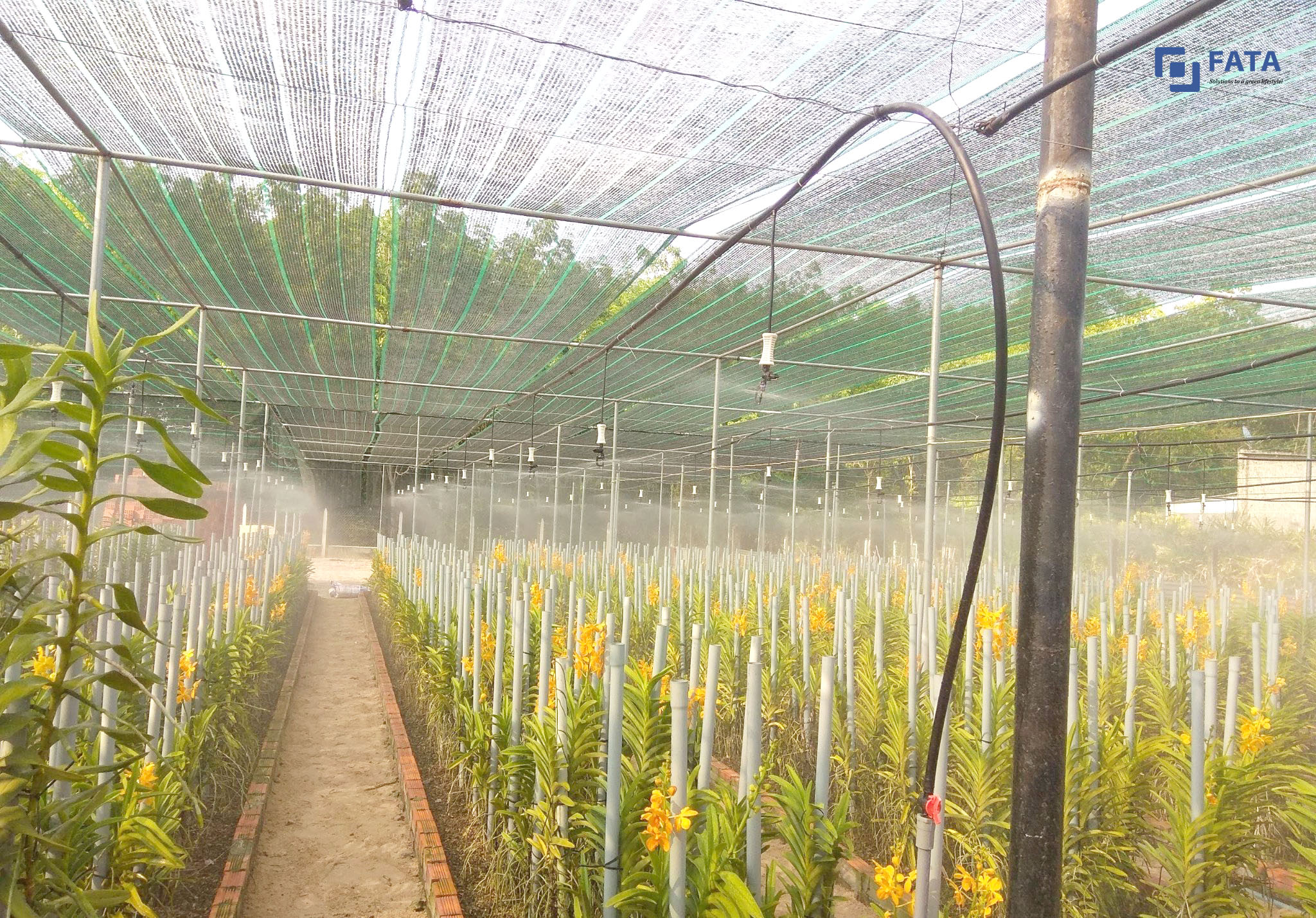 Hệ Thống Tưới Cho Vườn Lan - Cách Thiết Kế và Lắp Đặt